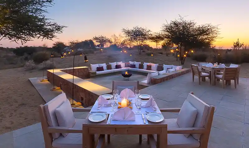 The Desert Dining Experience