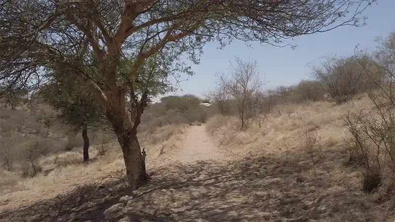 Desert Nature Trail with gazelles